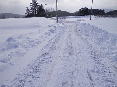 スキー場のような道路